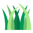 grass